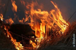 В Болградском районе 5-летний мальчик сгорел в стоге сена