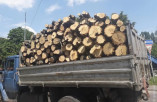 Житель Білгород-Дністровського району ошукав людей на продажі дров