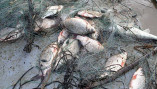 В Одесской области рыбалка обернулась крупным штрафом