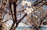 Тепла погода до Одеси повернеться у перші дні квітня