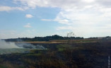 Пожежа на Одещині: вигоріло 2 гектари рослинності