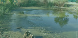 Анализ воды в Вилково