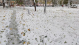 Прогноз погоды: в Одессе ожидают ветер, снегопады и гололед