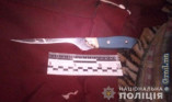 27-летняя женщина ударила в живот ножом свою мать
