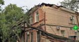 В Одессе сильный ветер повалил 53 дерева