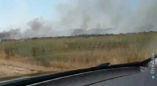 Под Одессой ликвидировали пожар в экосистеме