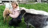 Була вчителькою, а стала власницею козиної молочної ферми!