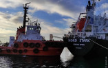 9 суден з агропродукцією вийшли з портів Одеси сьогодні