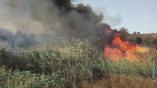 На открытой территории в Одессе горит сухая трава