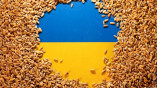 Експорт українського зерна до європейських країн зріс у 100 разів