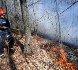 В Подольском районе тушили пожар в лесничестве