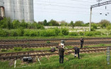 Пенсионерка погибла под колесами поезда в Одесской области