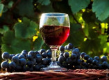 Виноробство та виноградарство сьогодні: перспективи галузі