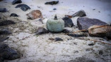 На одном из пляжей Одессы была обнаружена мина