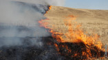В Одесской области сохраняется чрезвычайная пожароопасность