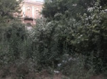 Горы мусора в центральном парке Одессы (фото)