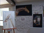 Одесситы приглашаются на фотовыставку «Лошади»