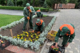 Озеленение Одессы: яркие цветочные композиции украшают город