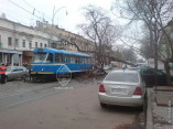 В Одессе дерево упало прямо на проезжающий трамвай