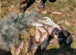 Чергового браконьєра викрили на Одещині