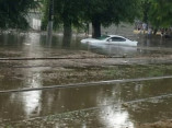 Стихия повалила в Одессе более полусотни деревьев