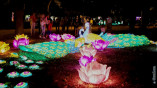Фестиваль китайских фонарей останется в Одессе еще на две недели