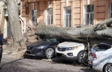 Непогода в Одессе: падают деревья и фрагменты домов, множество поврежденных автомобилей