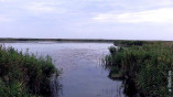 На озере Сасык у браконьера изъят улов и сети