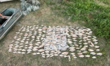 На Одещині браконьєр нарибалив на пів мільйона гривень
