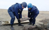 В Одесской области обнаружены артснаряды