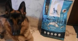 Одесса получила гуманитарную помощь для домашних животных