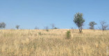 погода в Одессе