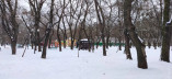 Одеська погода у лютому: сніг та ожеледь