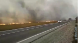 В Белгород-Днестровском районе спасатели ликвидируют пожар в экосистеме