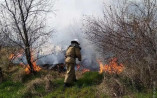 Пожары в экосистемах – глобальная проблема Одесского региона
