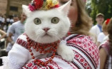 Одесский зоопарк готовится ко Дню вышиванки