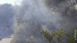 пожар на склонах Дачи Ковалевского