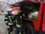 В Одесской области во время движения загорелся автомобиль