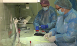 Более тысячи ПЦР-тестов ежедневно делают в одесской вирусологической лаборатории