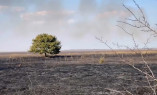 Пожар в нацпарке Одесской области нанес ущерб экологии более чем на 880 миллионов