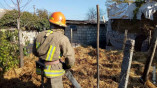 В Одесской области огонь уничтожил полторы тонны сена