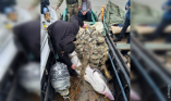 Пограничники спасли 150-килограммовую белугу
