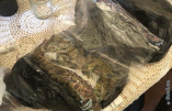 Контрабанда кокаина в Одессу: по делу проведены новые обыски