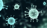 Епідемситуації в Одесі: захворюваність на підвид коронавірусу «Кракен»
