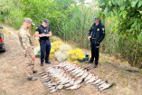В Одеській області браконьєр наловив риби на 250 тисяч гривень