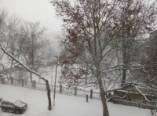 В ближайшие часы снегопад в Одессе усилится (видео)