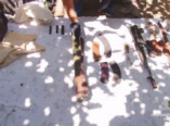 В Одесской области нашли очередной арсенал оружия (фото, видео)