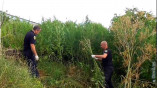 У жителя Одесской области изъято 13 килограммов наркотиков