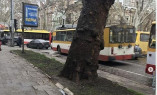 В центре Одессы участники ДТП перекрыли движение транспорта