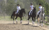 Занятия иппотерапией и тренировки проходят в конном клубе «Ариаон»